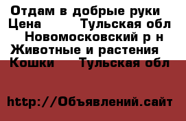 Отдам в добрые руки › Цена ­ 10 - Тульская обл., Новомосковский р-н Животные и растения » Кошки   . Тульская обл.